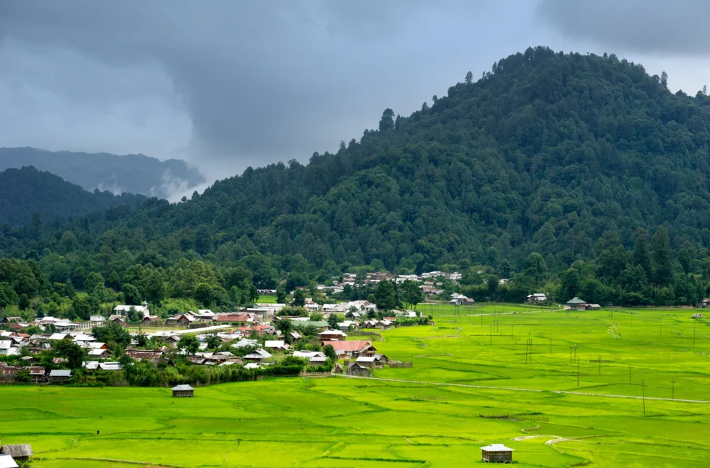 Ziro In Arunachal Pradesh