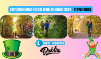 Carrickgollogan Forest Walk In Dublin 2024 - Travel Guide